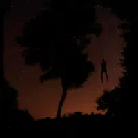 grange_du_pin_accrobranche_nuit.jpg