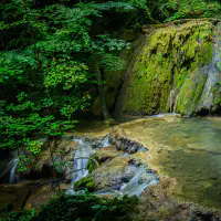 cascade de tuffe et de mousse verte